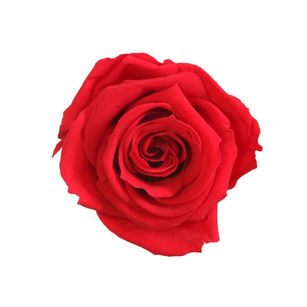 SCATOLA 8 ROSE MEDIE ROSSO